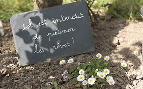 L'herbe des nuits...